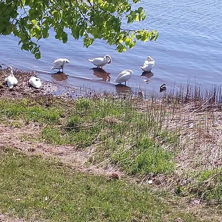 شقة у реки ريغا