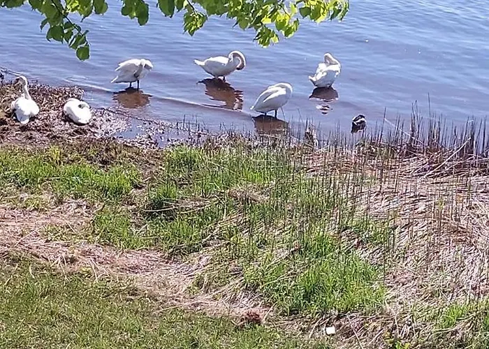 דירה у реки ריגה
